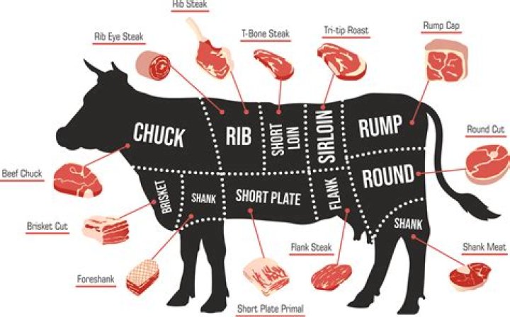 What are the parts of a oven?