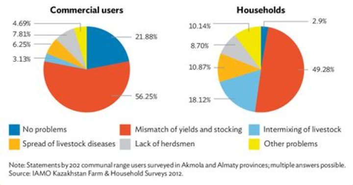 What are the problems associated with communal grazing?