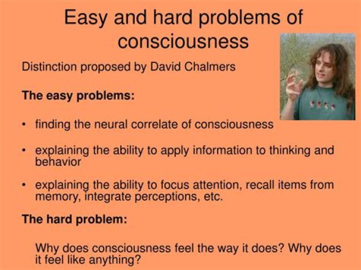 What are the problems of consciousness?