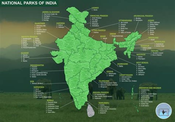 What are the purposes of national parks?