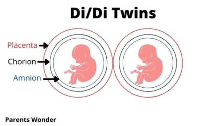 What are the risks of having a baby with your first cousin?