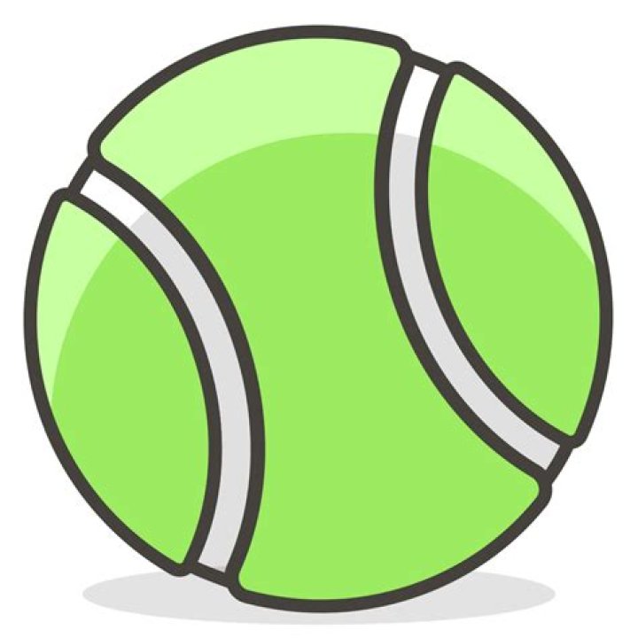 What are the roles of officials?