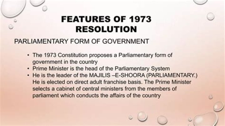 What are the salient features of 1973 Constitution?