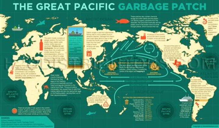 What are the solutions for the Great Pacific Garbage Patch?