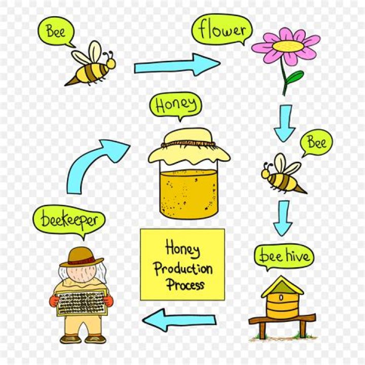 What are the steps in making a vinaigrette?