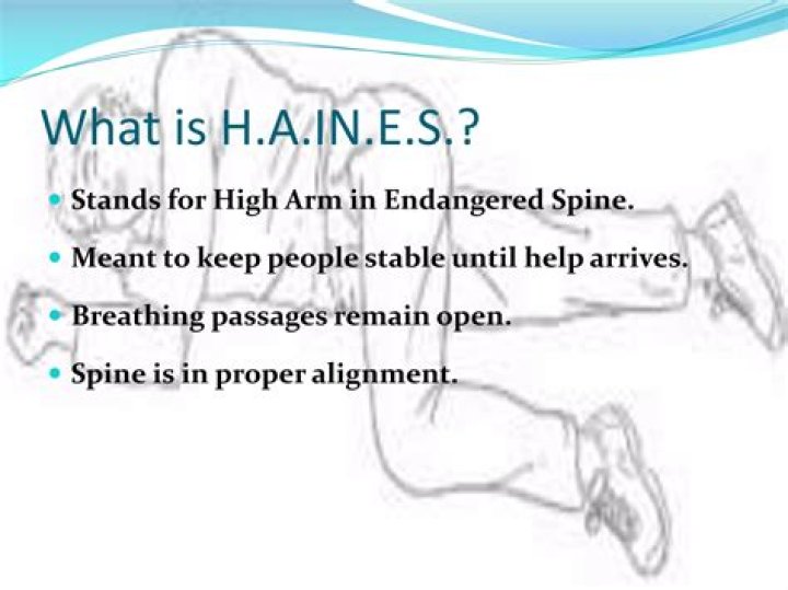 What are the steps you should follow to put a victim into the Haines position?
