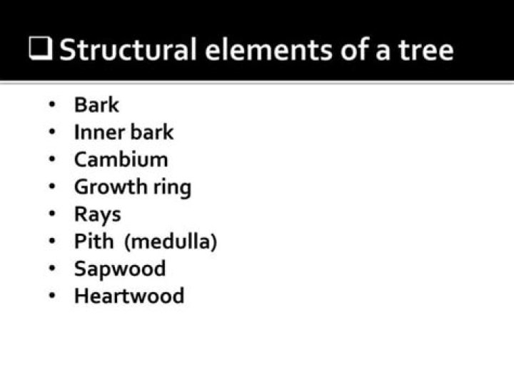 What are the structural elements of a tree?