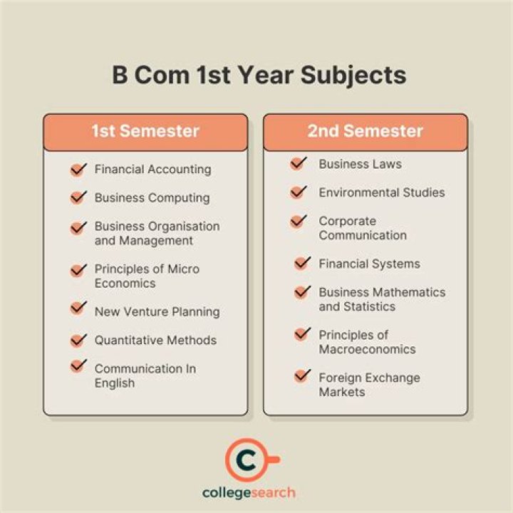 What are the subjects in B Com CA 1st year?