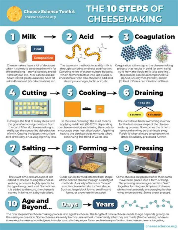 What are the three steps in cheese making?