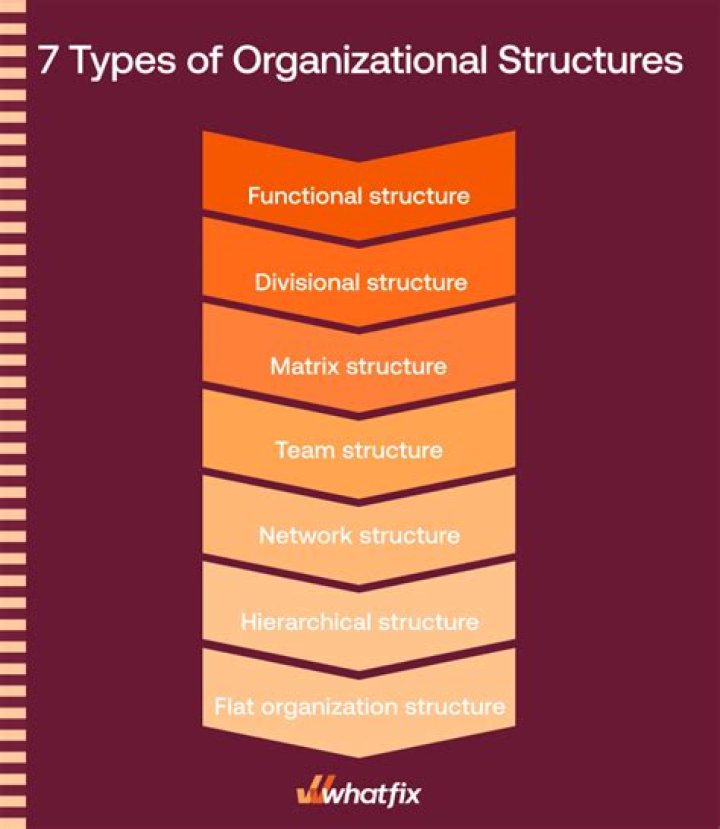 What are the two most common types of organizational structures?