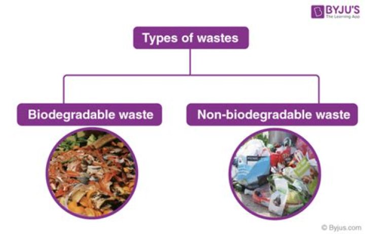 What are the two types of waste disposal?