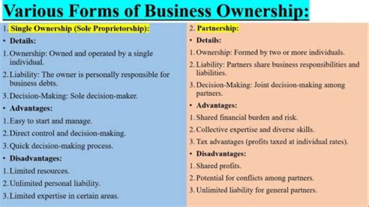What are the types of ownership for retail firms?