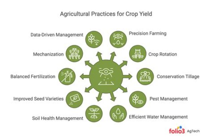 What are two agricultural practices that increase crop yields?
