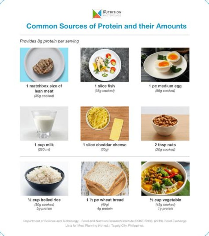 What are two main sources of protein?