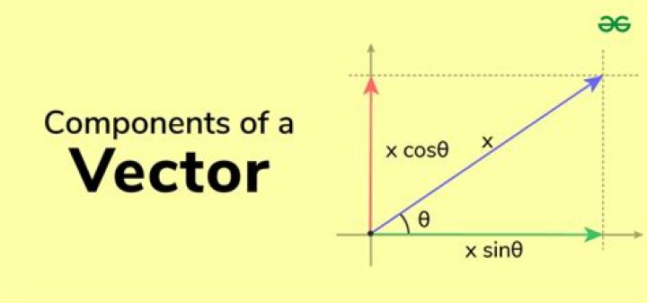 What are vector give an example?