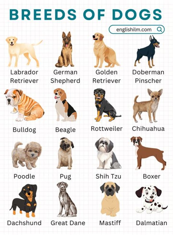 What breed of dogs are nannies?