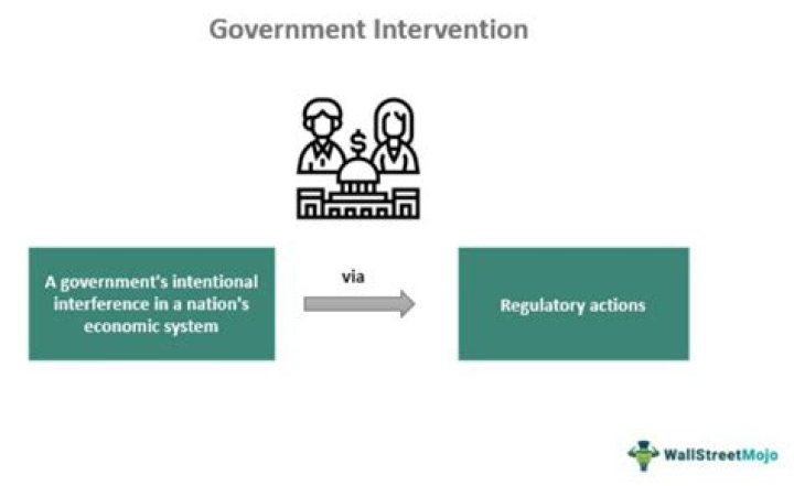 What business does the government own?