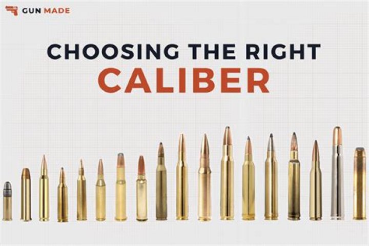 What caliber is the m21?