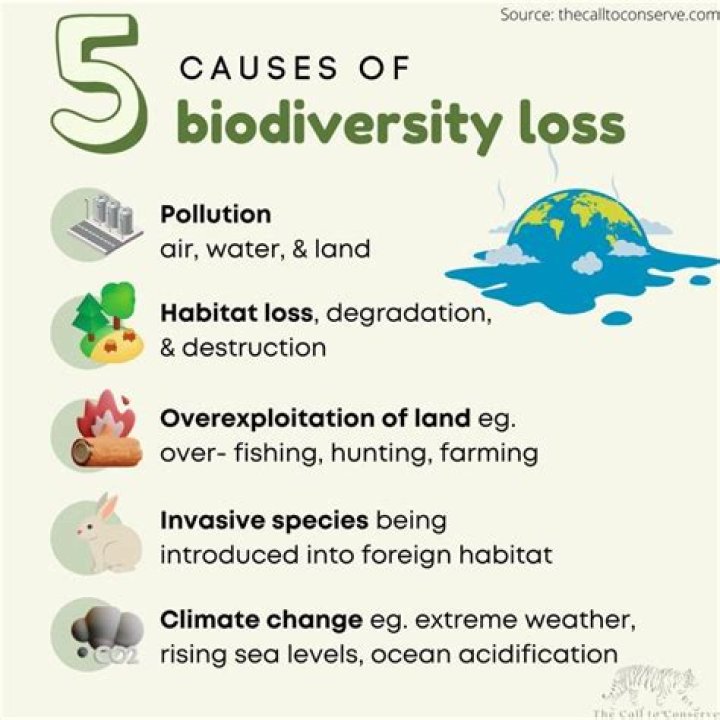 What can be done to help crustaceans?