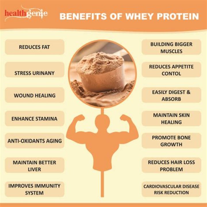 What can be used in place of whey protein?