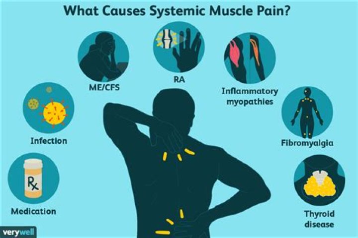 What can cause constant muscle pain?