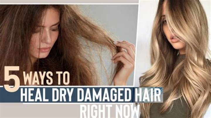 What can I do for extremely dry damaged hair?