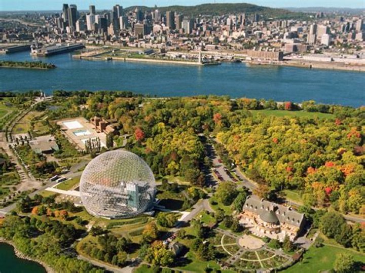 What can I do in Montreal today?