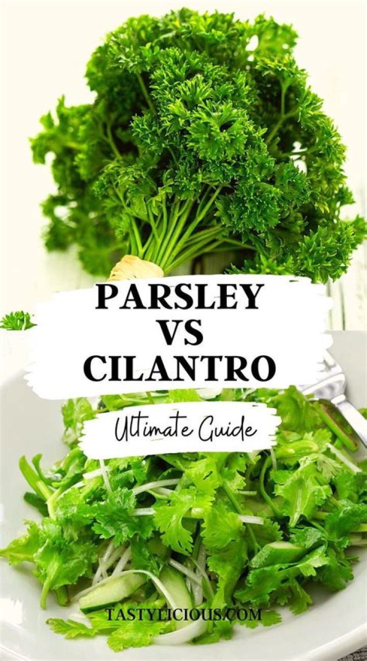 What can I do with leftover parsley and cilantro?
