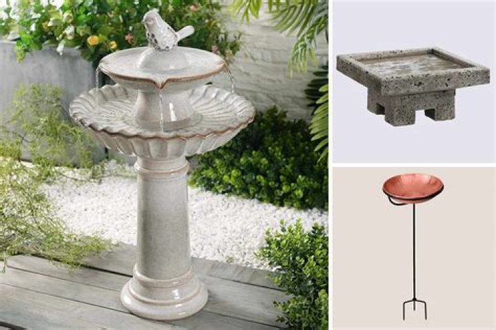 What can I grow in a bird bath?