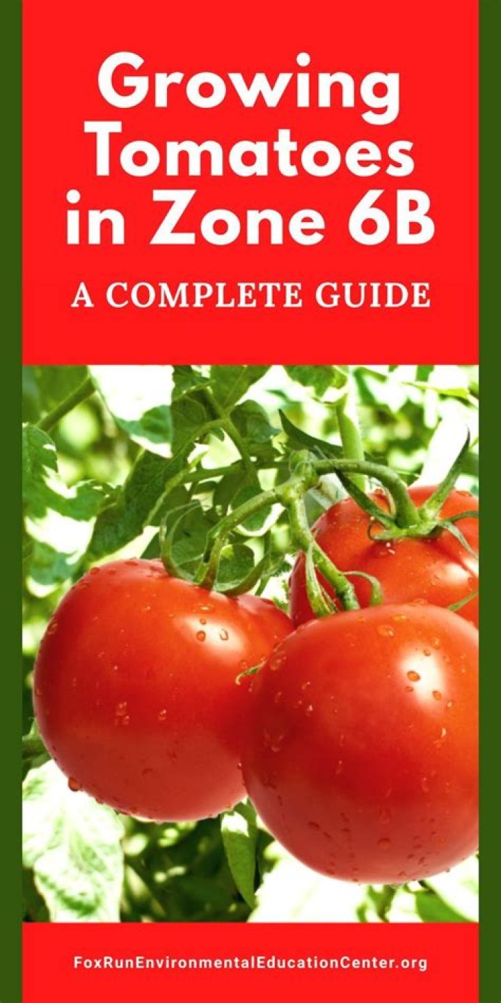 What can I grow in zone 6b?