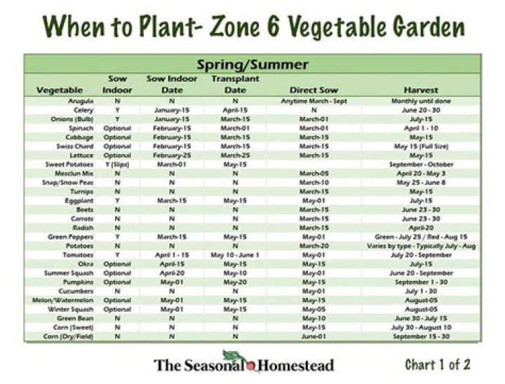 What can I plant in September in zone 6b?