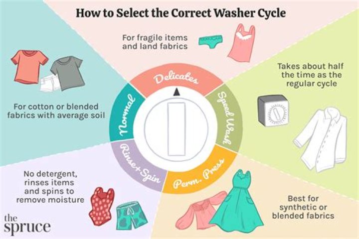 What can I put in the washing machine to catch dog hair?