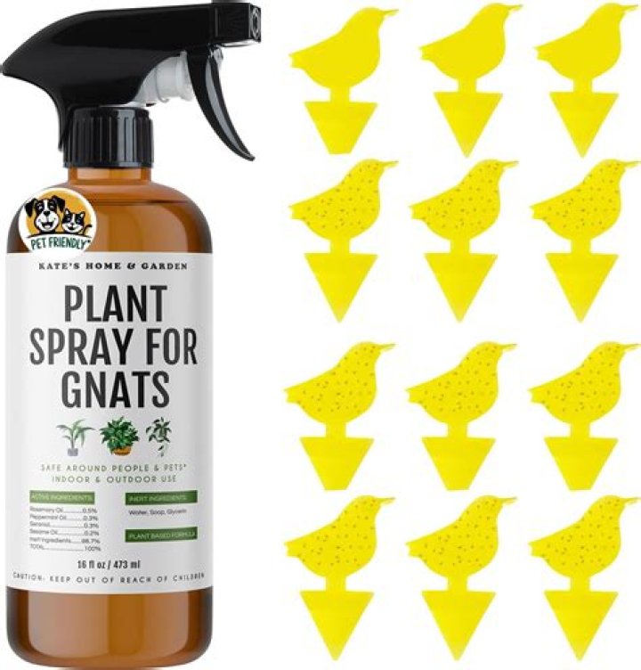 What can I spray on my dog to keep the bugs away?