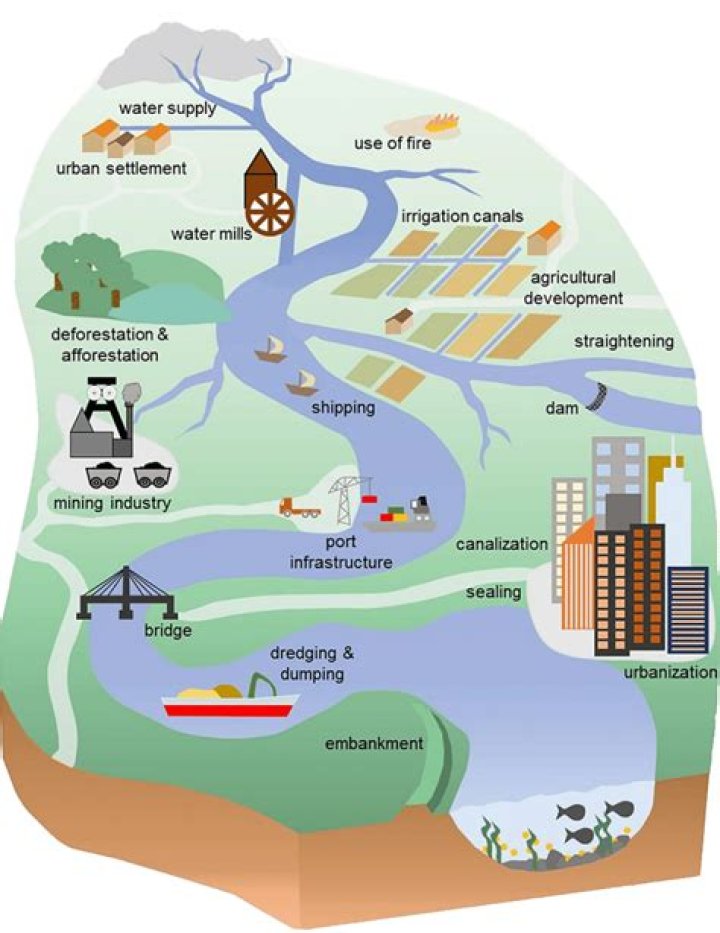 What can negatively affect a watershed?