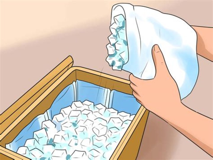 What can we do to stop the ice from melting?