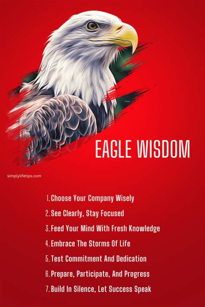 What can we learn from Eagles?