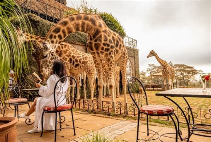 What can you do in Nairobi for 3 days?