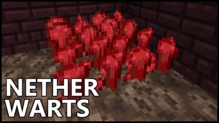 What can you do with nether wart in Minecraft?