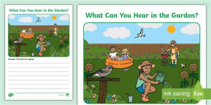 What can you hear in the park?