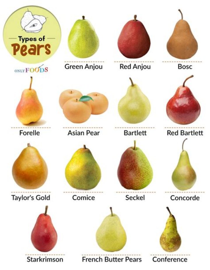 What category is a pear?