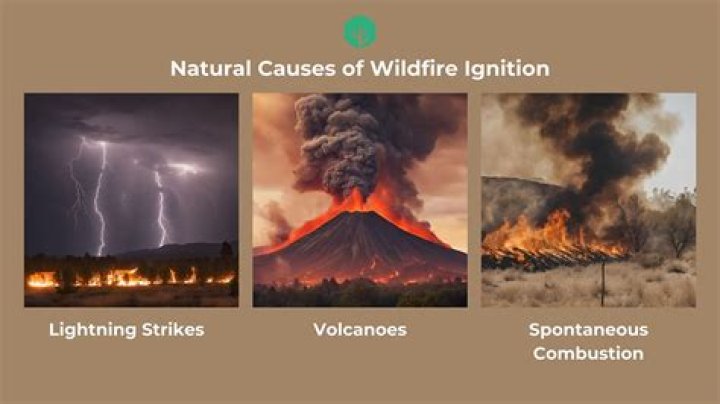 What causes a generator to smoke?