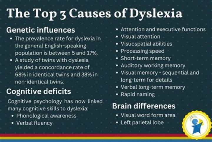 What causes dyslexia in the brain?