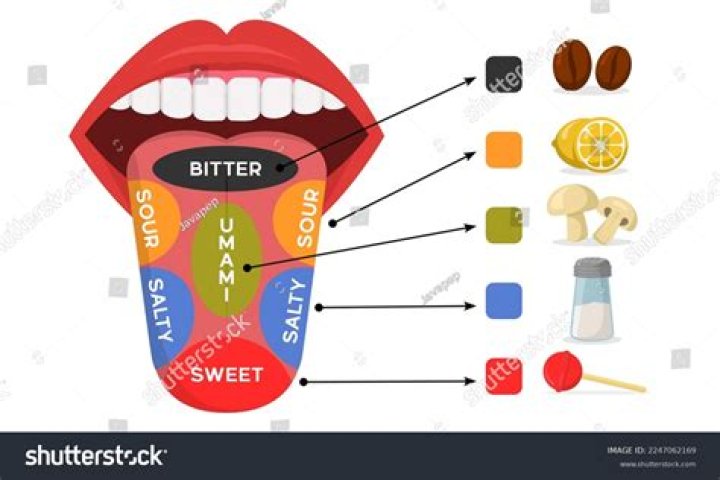 What causes fruits to taste sweet?