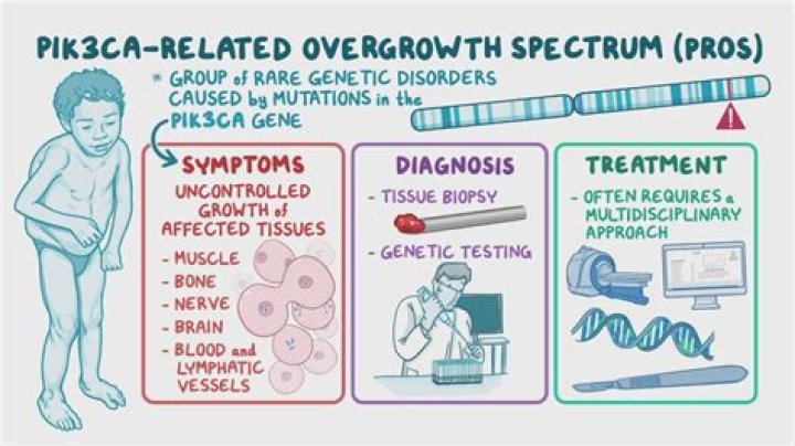 What causes pik3ca mutation?