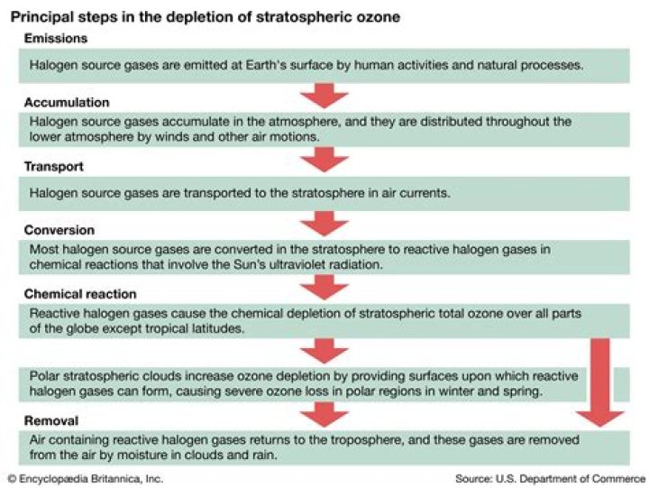 What causes the depletion of stratospheric ozone?