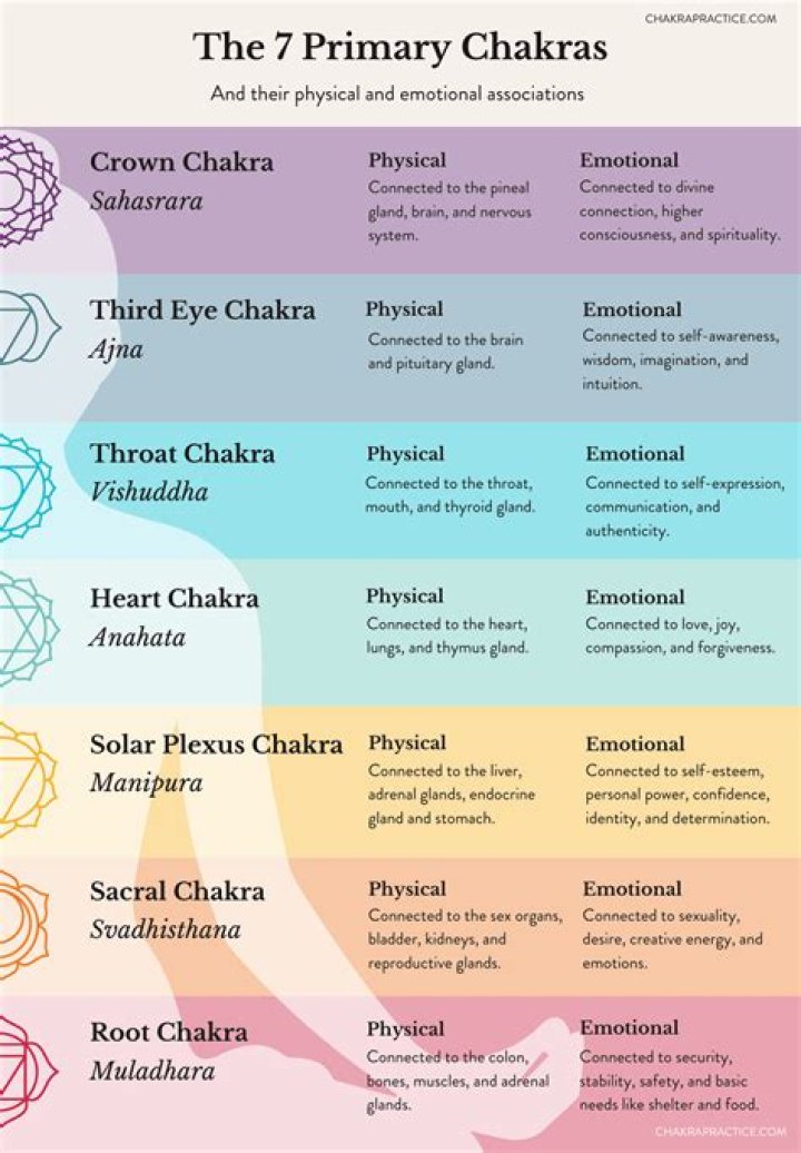 What chakra is the esophagus?