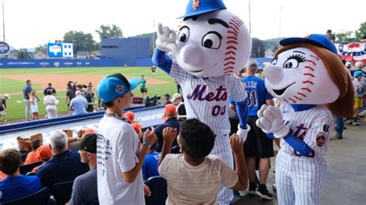 What Channel Are the Mets on Direct TV?