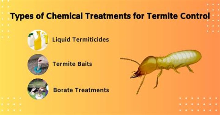 What chemical will kill termites?