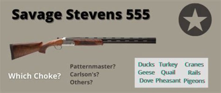 What chokes does a Stevens 555 use?