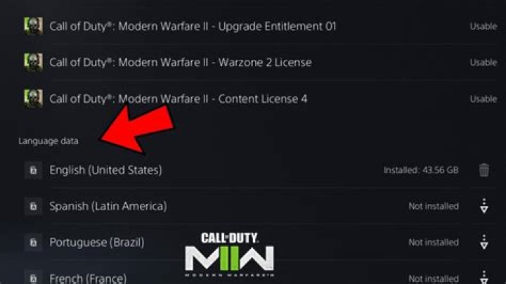 What code does call of duty use?